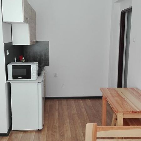 Pokoje Typu Studio Sosnowiec Extérieur photo