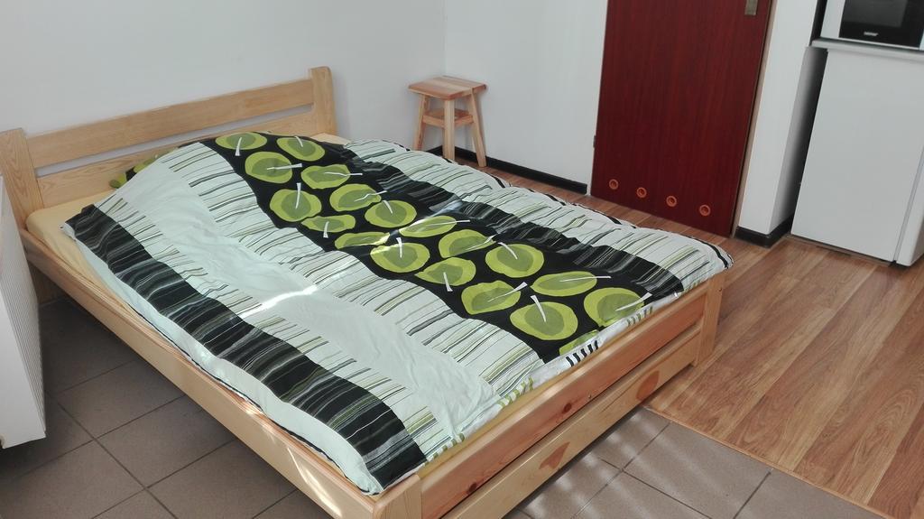 Pokoje Typu Studio Sosnowiec Extérieur photo