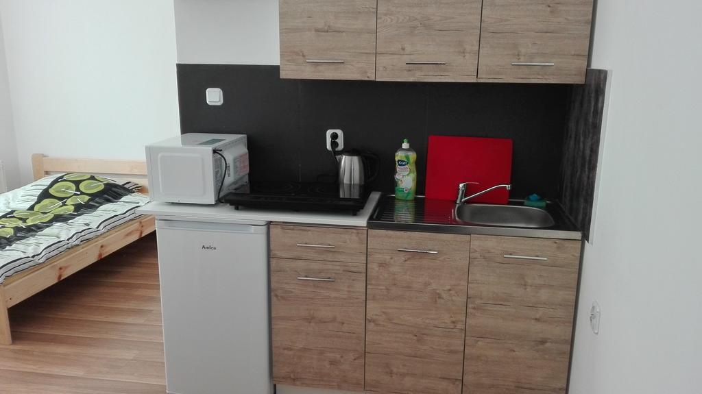 Pokoje Typu Studio Sosnowiec Extérieur photo